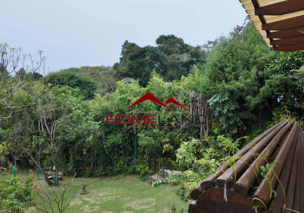 444-jardim2