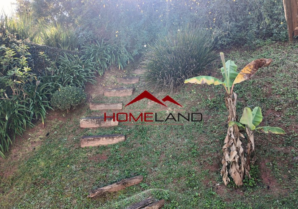 HL446 - jardim_b