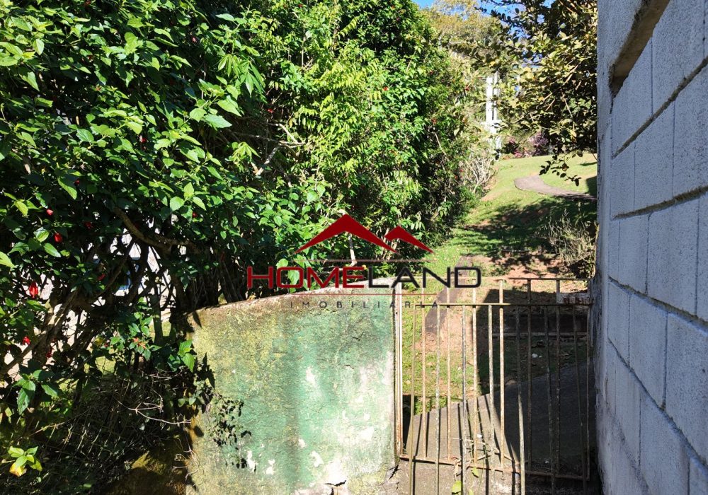 HL447-jardim_b
