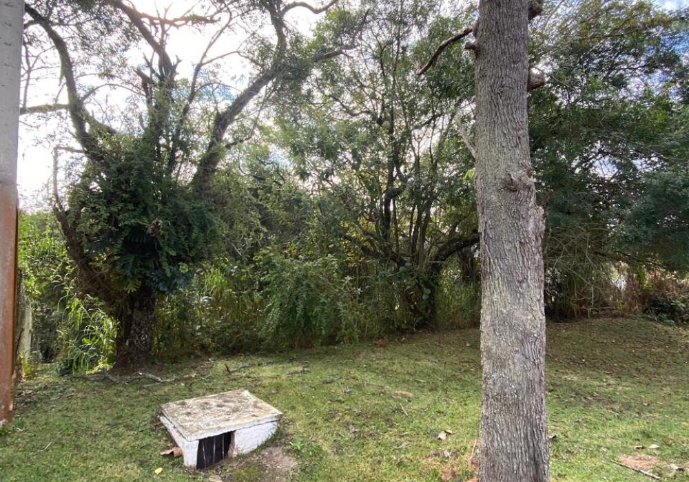 IMG-20250711-WA0002