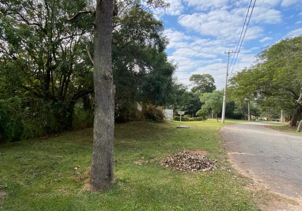 IMG-20250711-WA0003