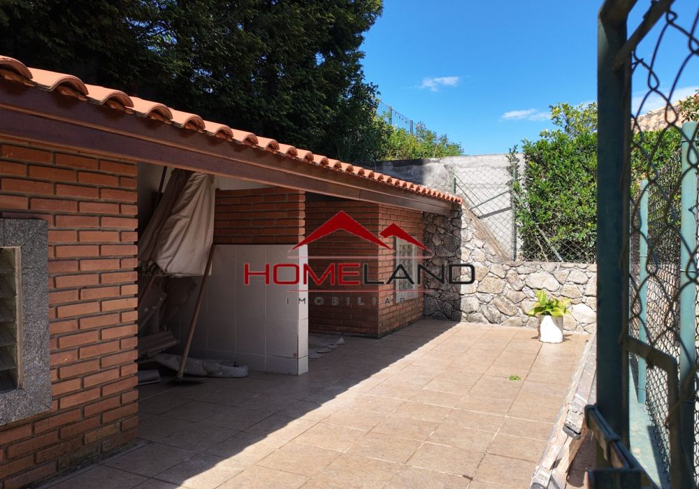 hl445 - canil