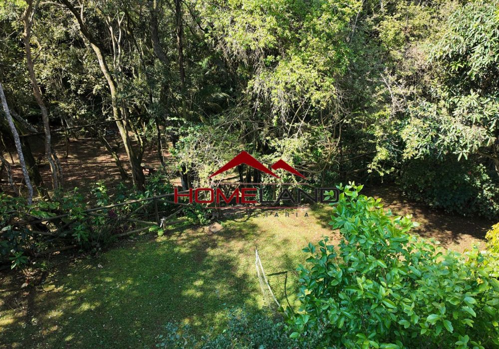 hl449 - area verde_2