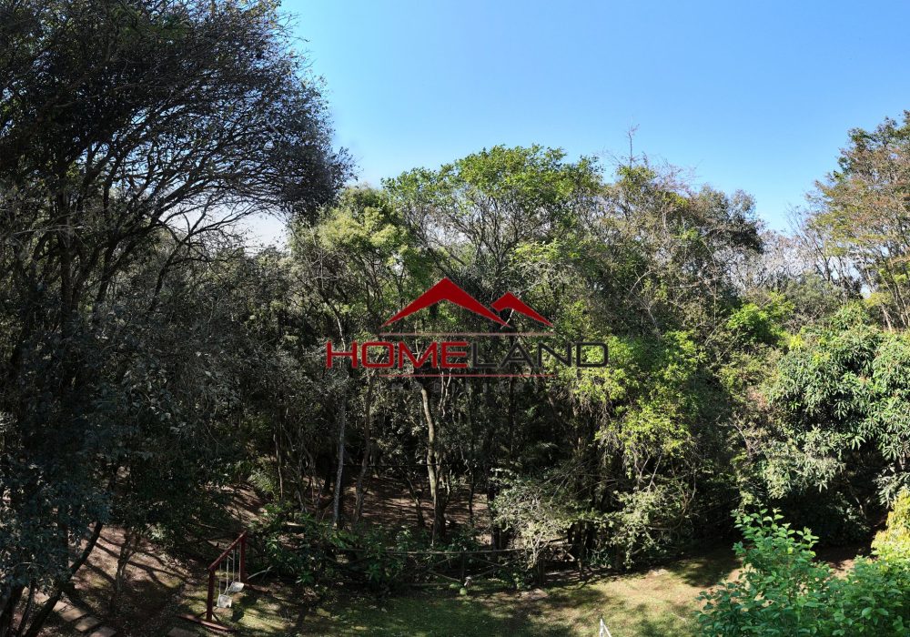 hl449- area verde_3