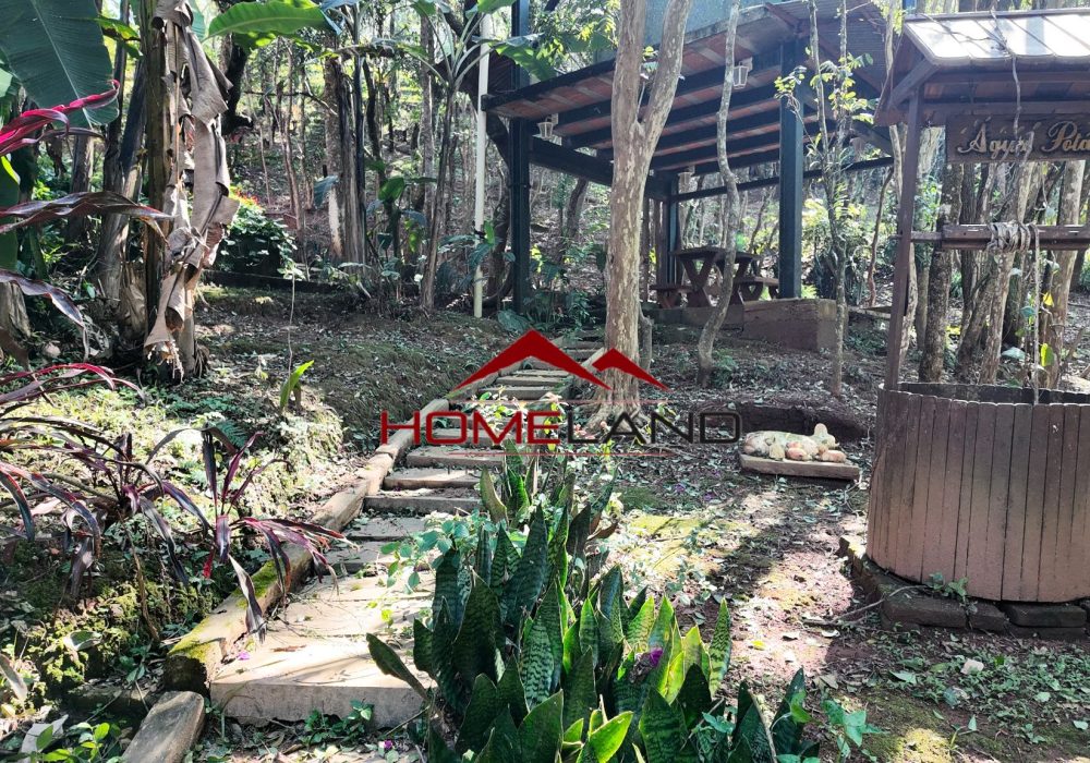 hl449 - area verde_5